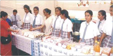 Home Science Higher Secondary Complex